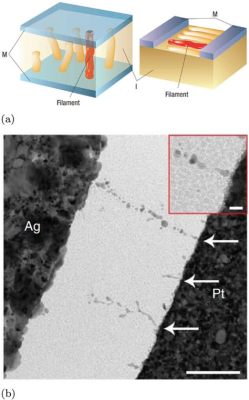  Molybdenum Disulfide: Next-Generation Energy Storage and Flexible Electronics?