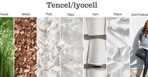  Tencel® 섬유: 친환경 패션의 선구자! 유지력 있는 기능성과 함께 지속 가능한 미래를 향하여